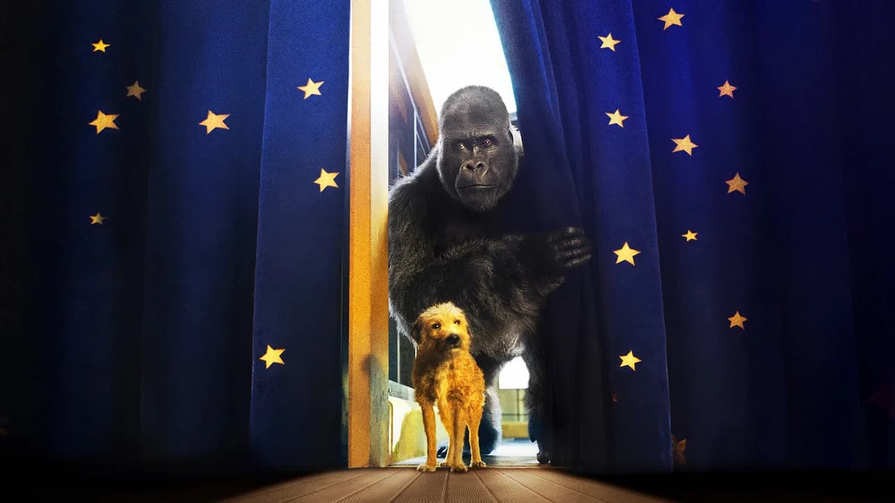 Le Seul et Unique Ivan