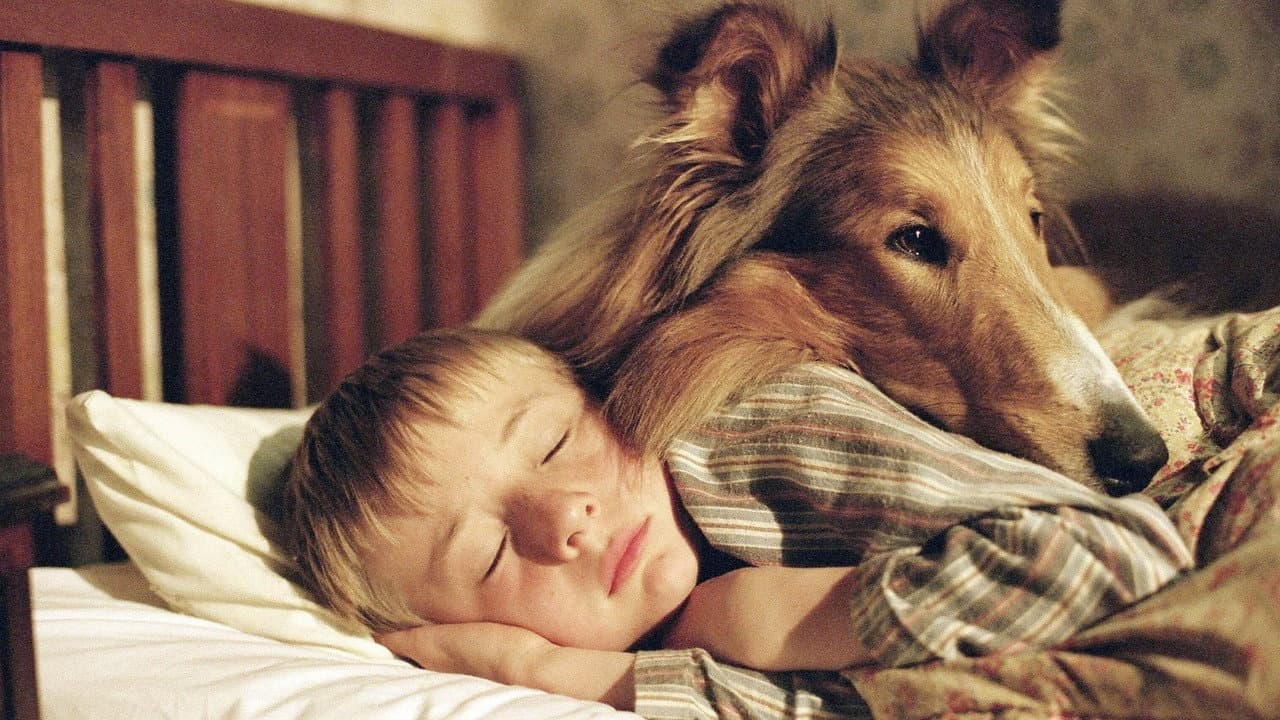 Lassie