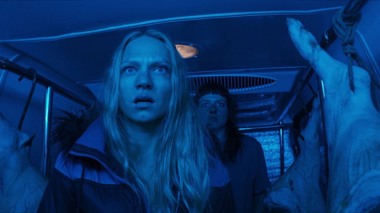 Must auk - Capture 4