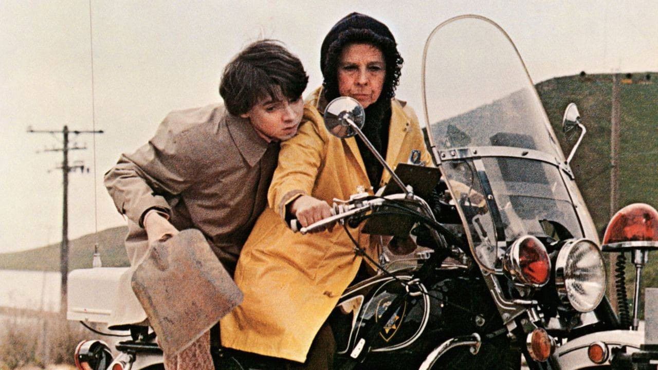 Harold et Maude - Capture 2