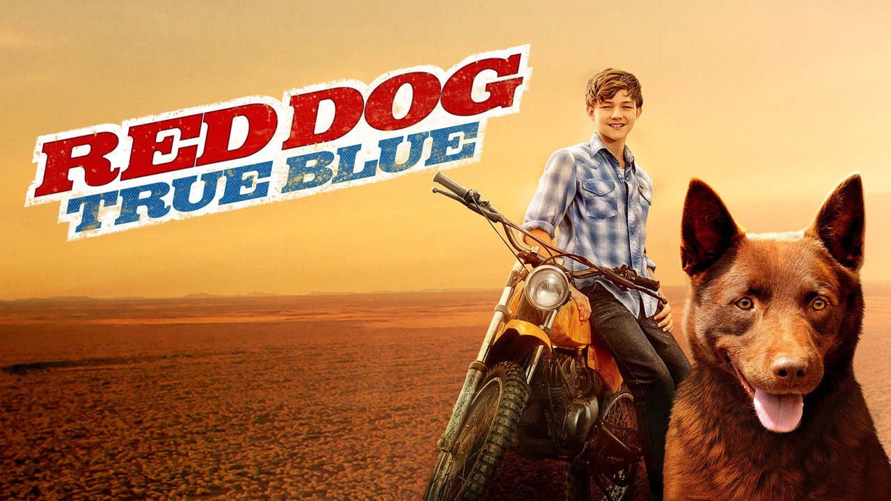 Blue, Mon Chien D'Australie