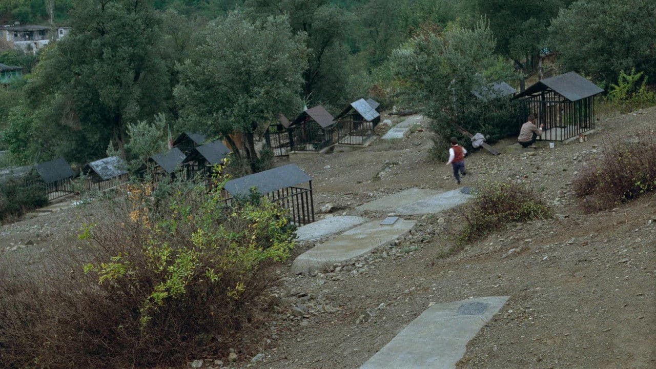 Où est la maison de mon ami ? - Capture 6