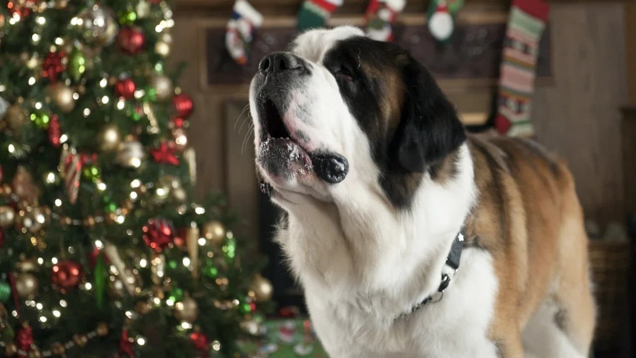 Beethoven sauve Noël