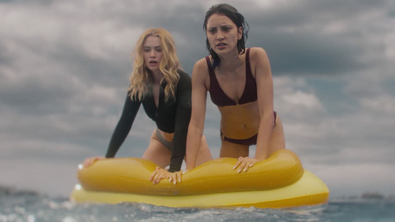 Killer Whale - Capture 3