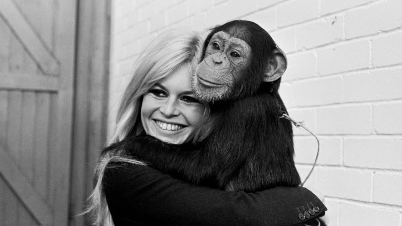 Bardot