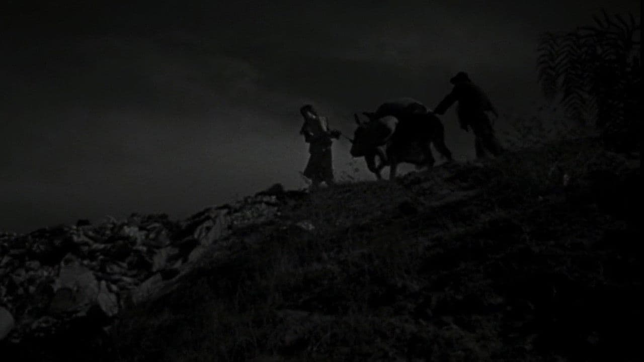 Los olvidados : pitié pour eux - Capture 2