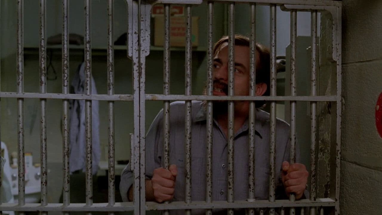 Le party - Capture 2