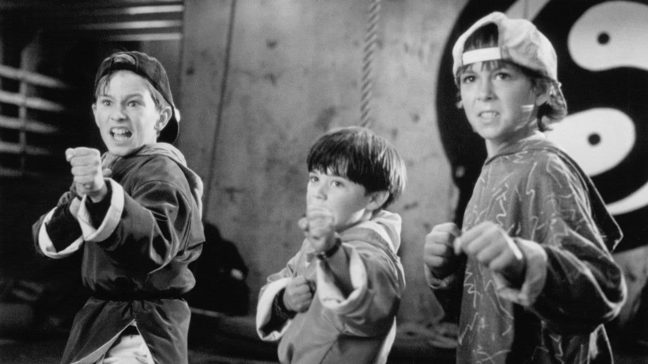 Ninja Kids : Les 3 Ninjas