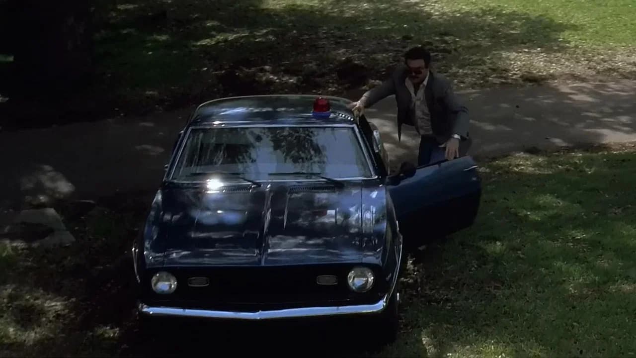 Un Flic et demi