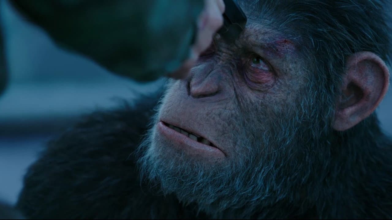 La Planète des singes : Suprématie