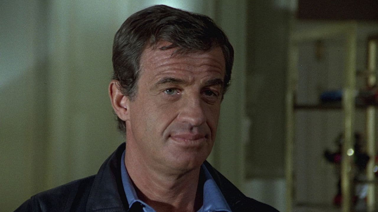 Le Professionnel - Capture 3