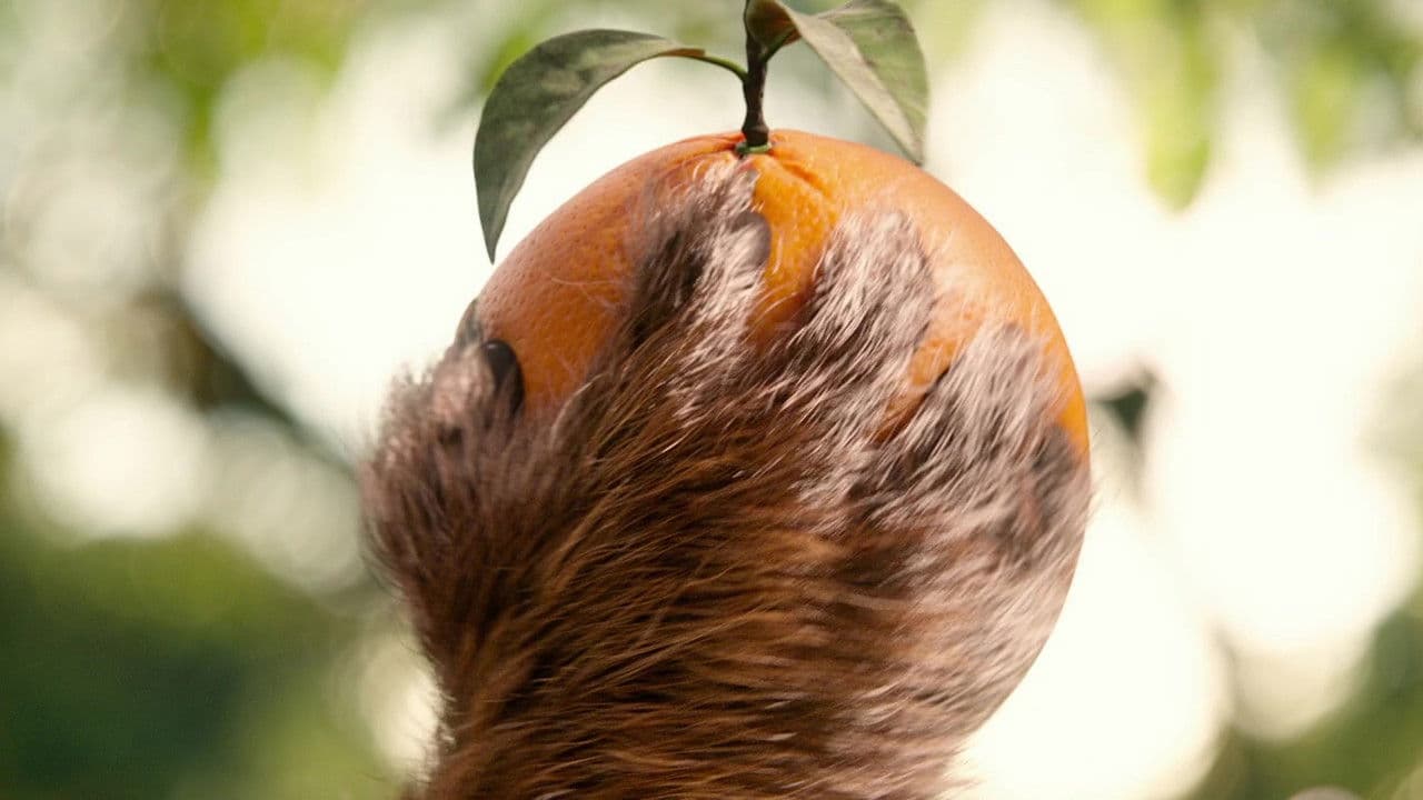 Paddington - Capture 4