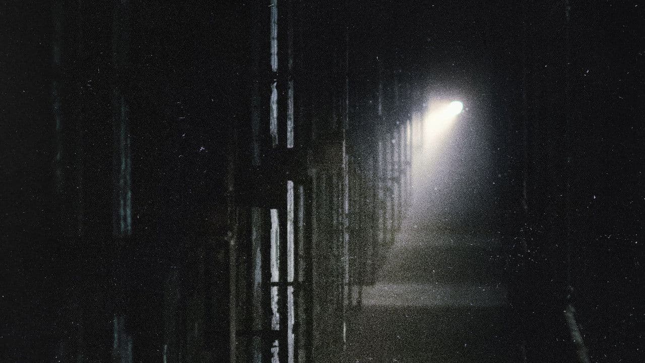 Shelby Oaks - Capture 2