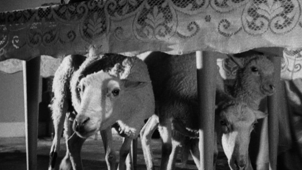 L'Ange exterminateur - Capture 3