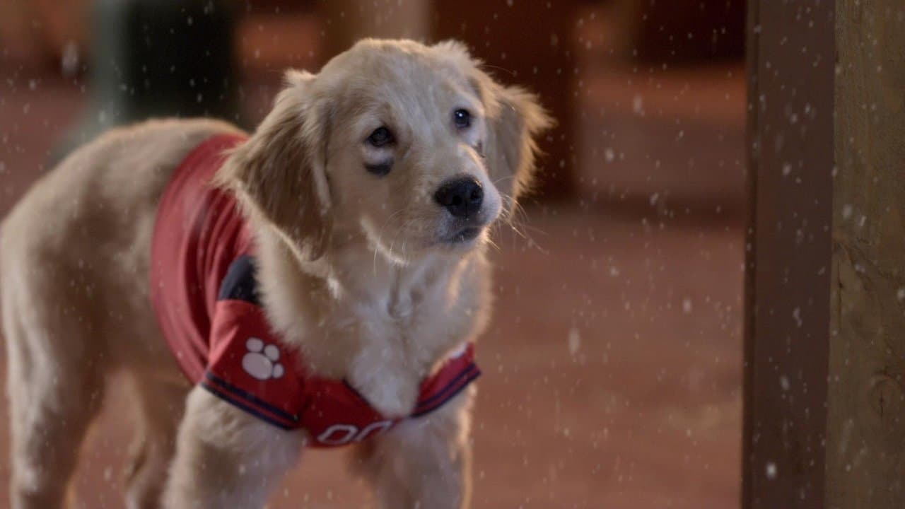 Les Copains fêtent Noël - Capture 2