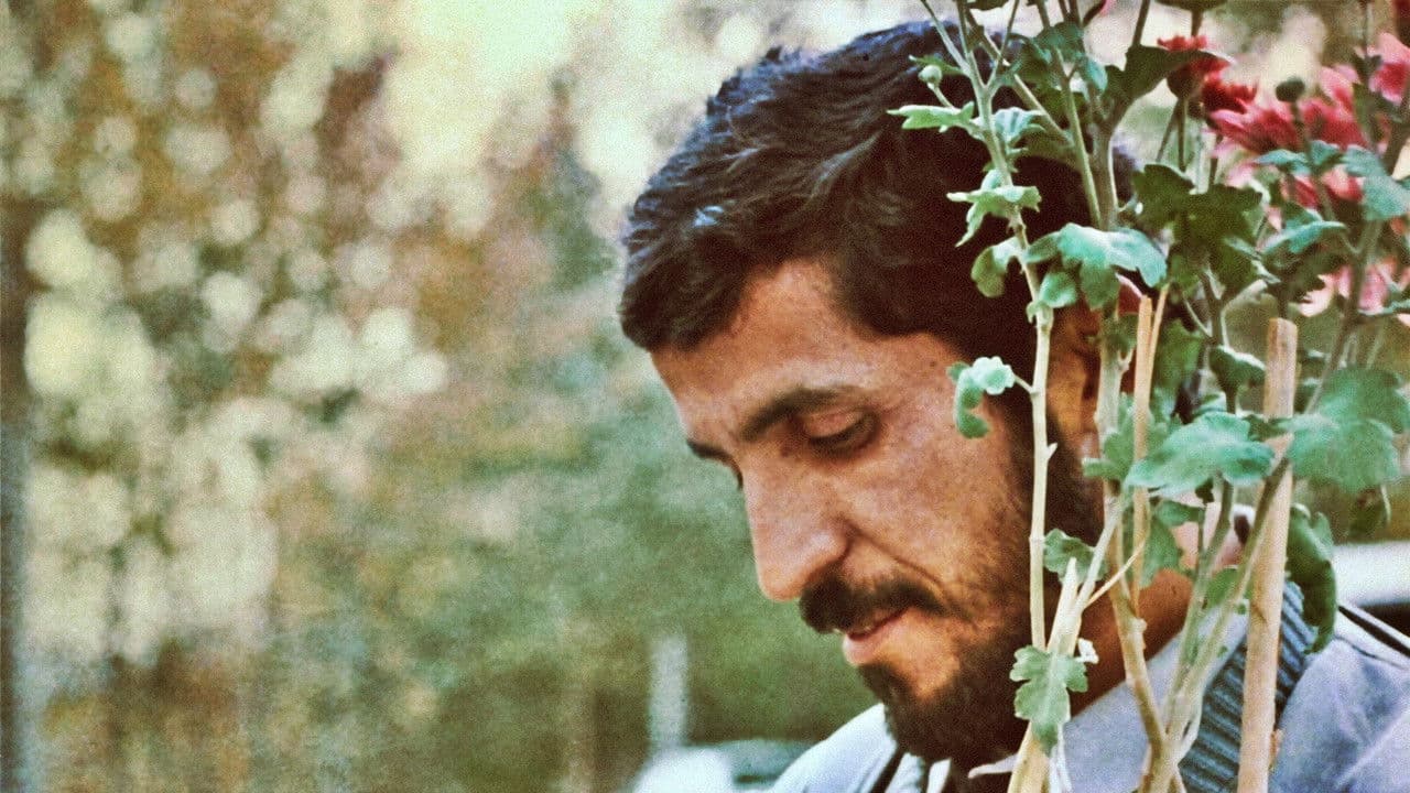 Close-up - Capture 6