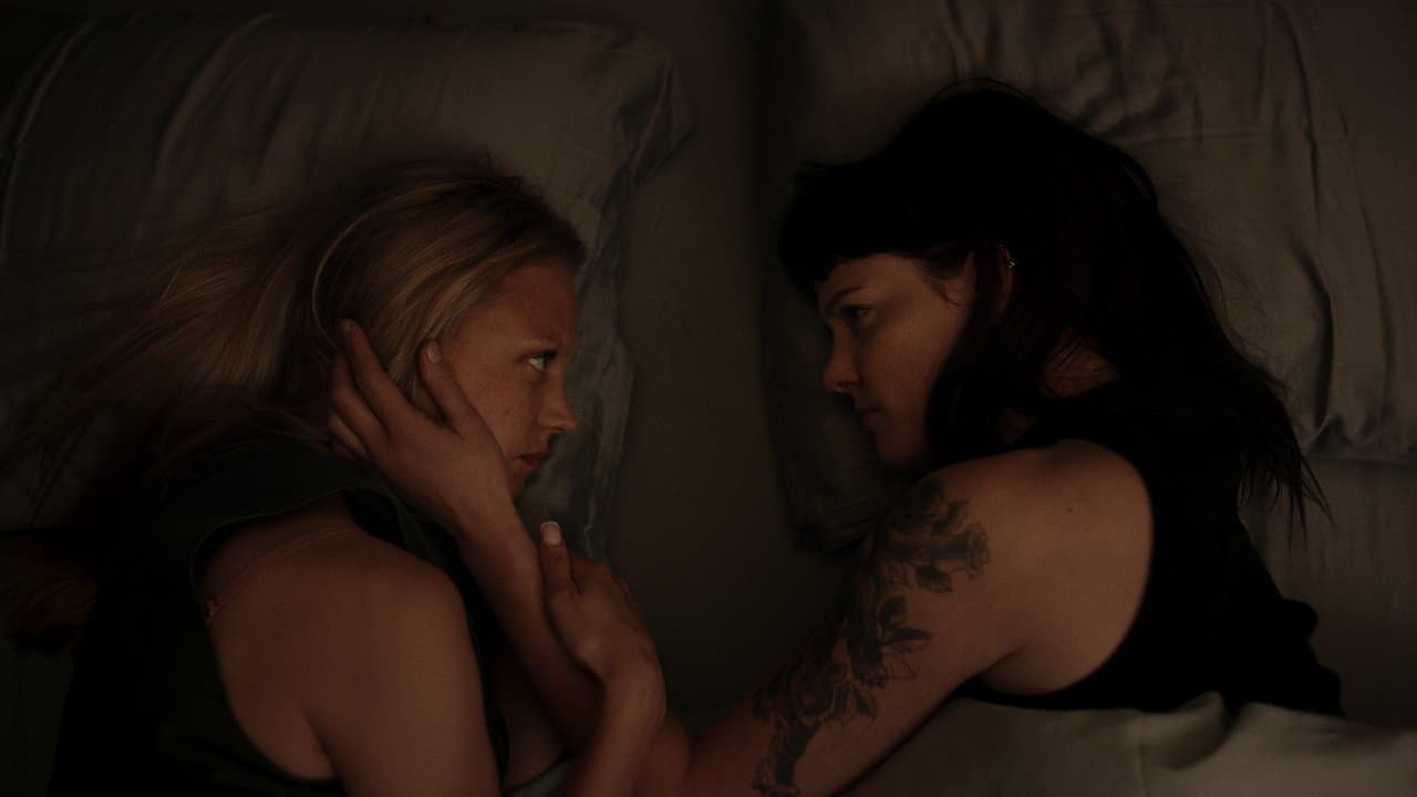 Must auk - Capture 1