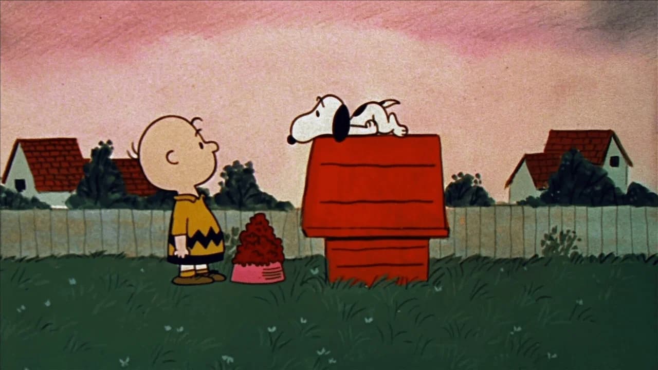 Un Petit Garçon Appelé Charlie Brown