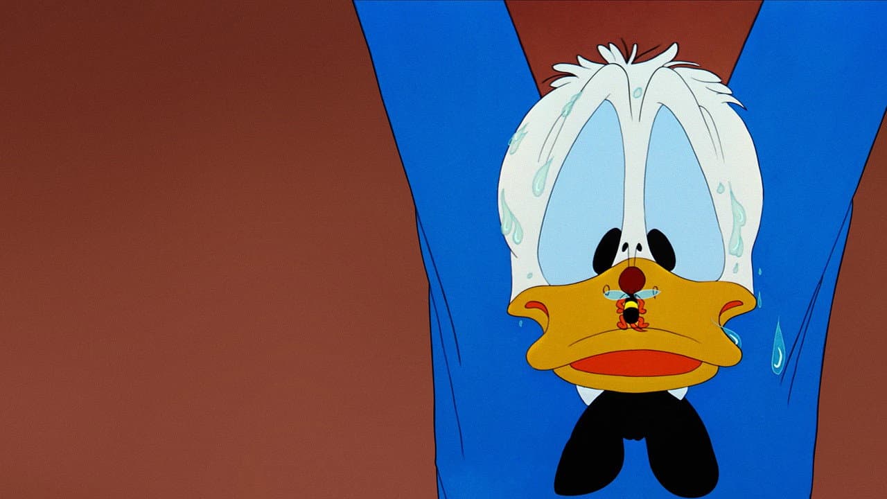 Donald Décorateur