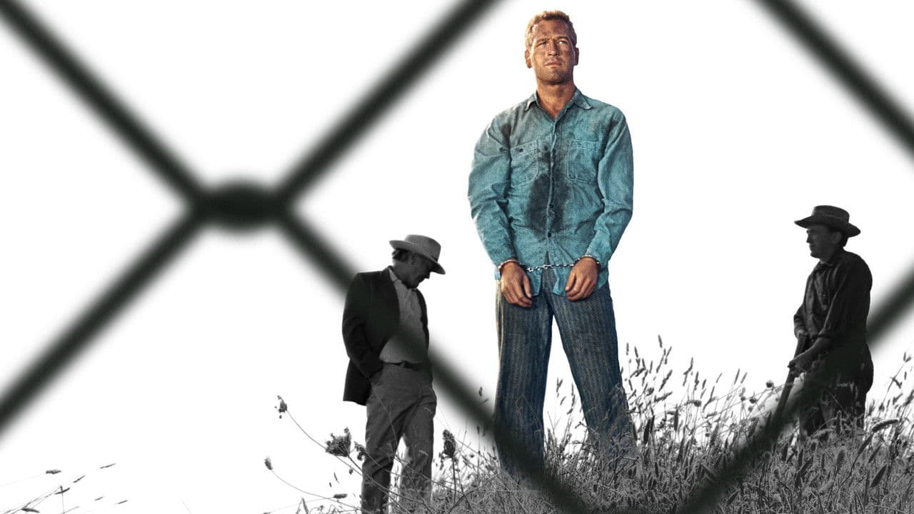 Luke la main froide - Capture 2