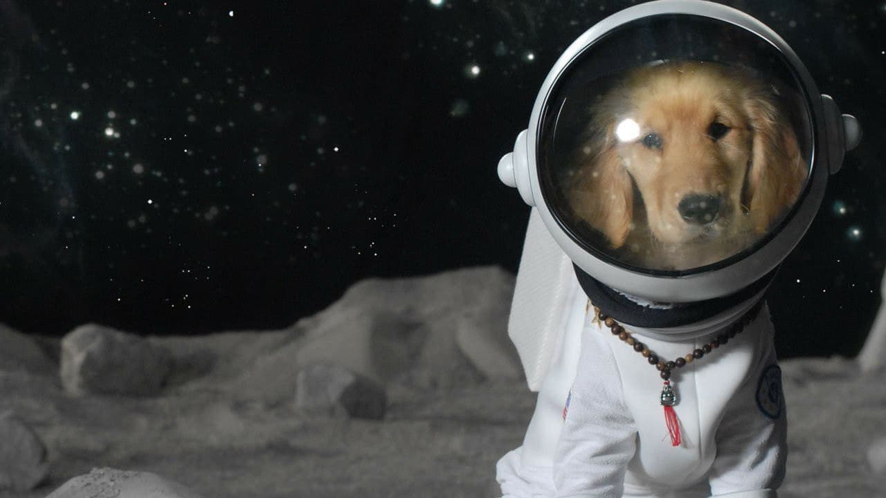 Les Copains dans l'espace