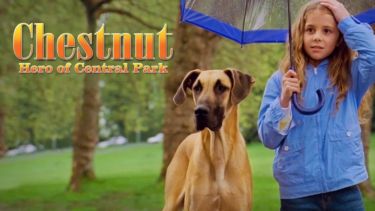 Panique à Central Park