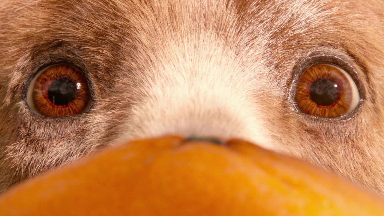 Paddington - Capture 3