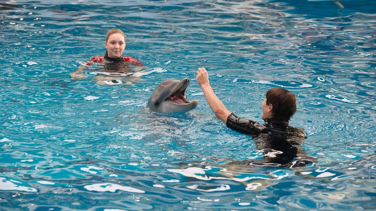 L'Incroyable Histoire de Winter le dauphin 2