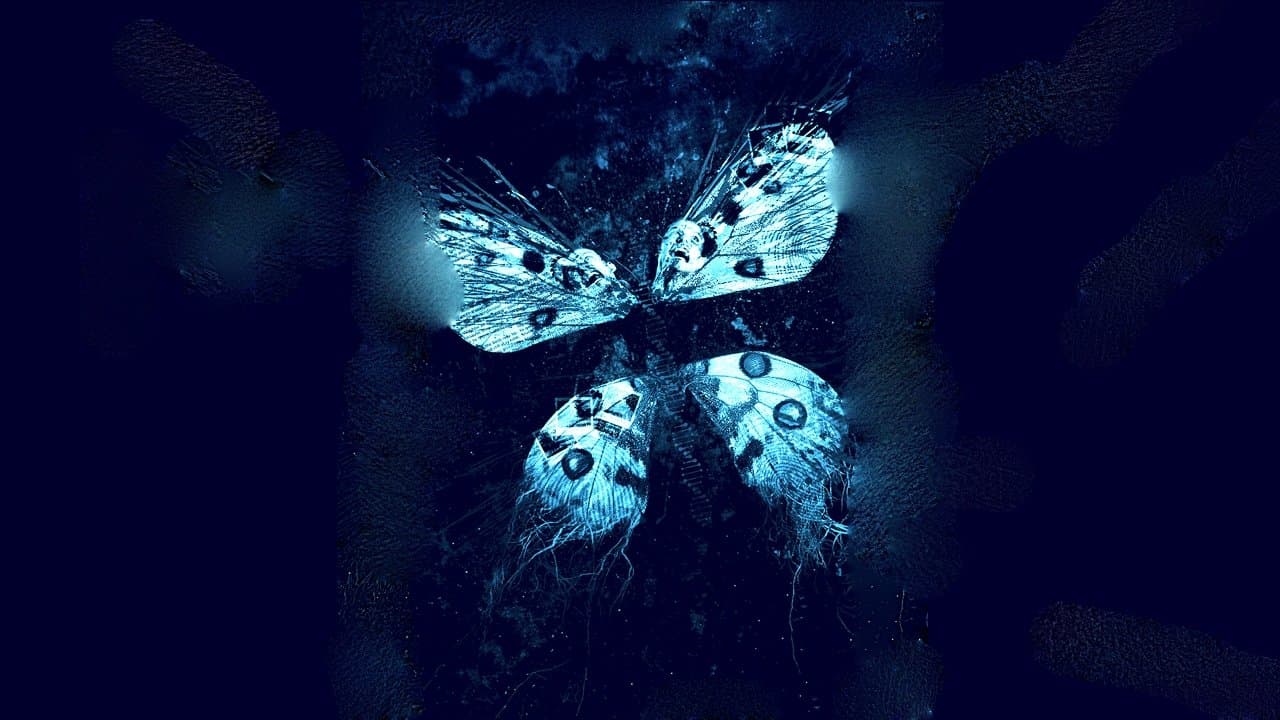 L'Effet papillon 3
