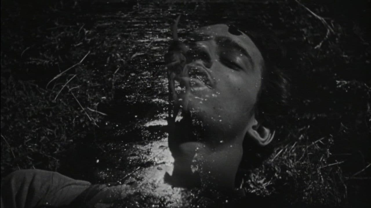 Los olvidados : pitié pour eux - Capture 1