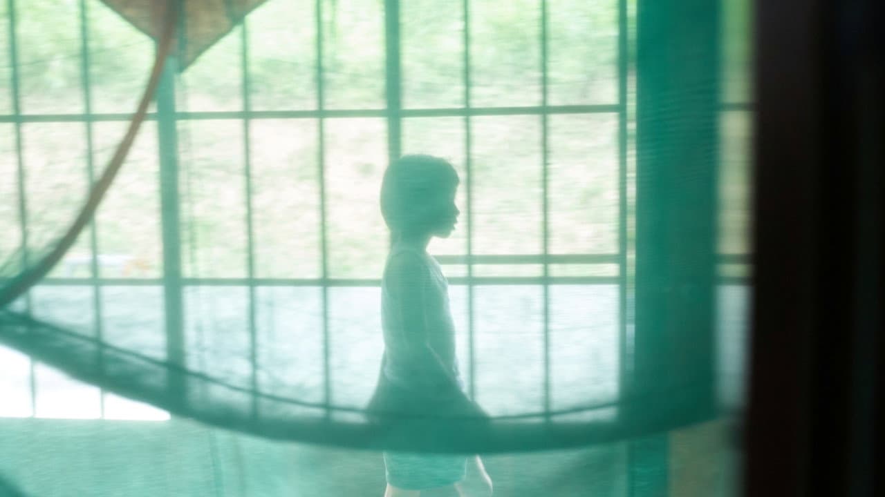 光る川