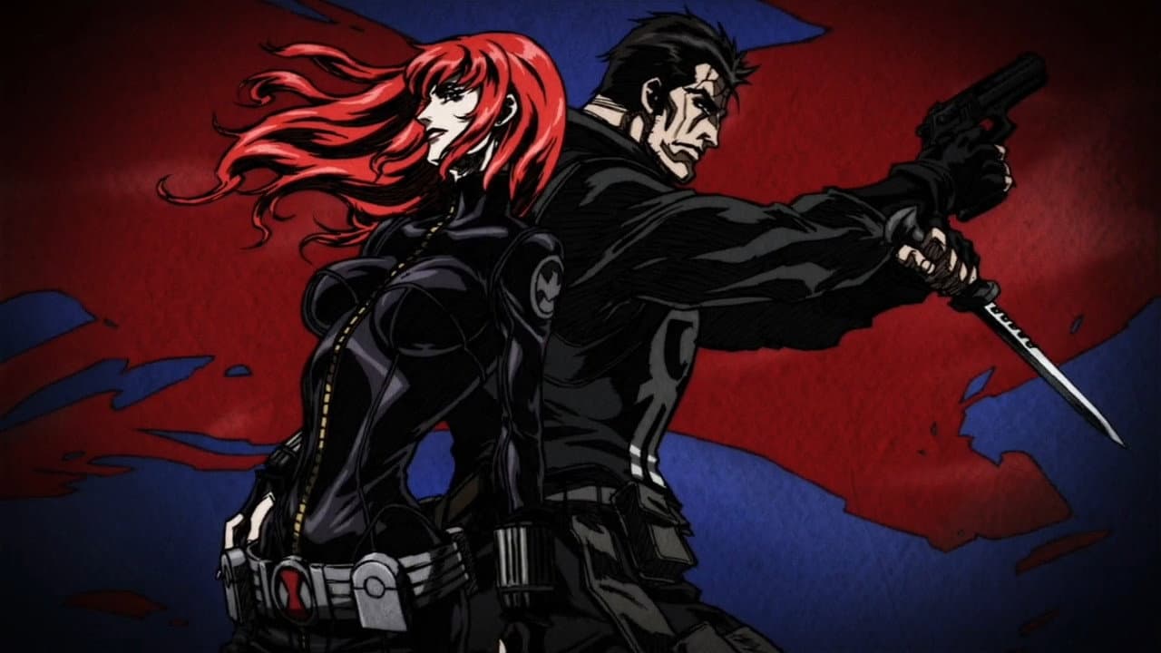 Avengers Confidential : La Veuve Noire et Le Punisher