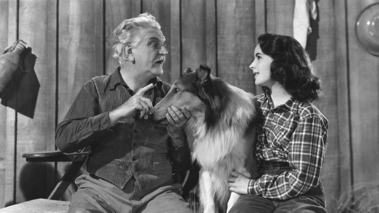 Le Courage de Lassie