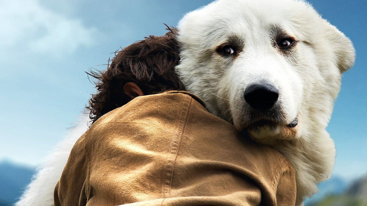 Belle et Sébastien, l'aventure continue