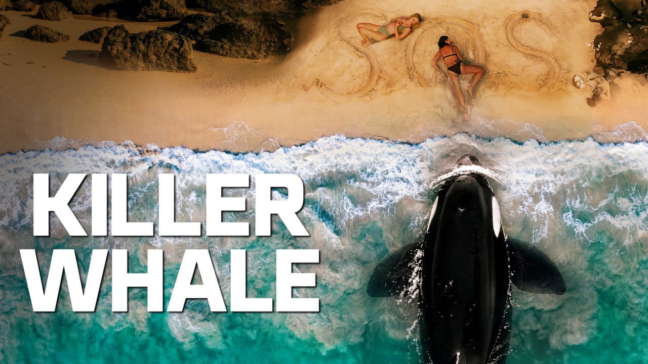 Killer Whale - Capture 6