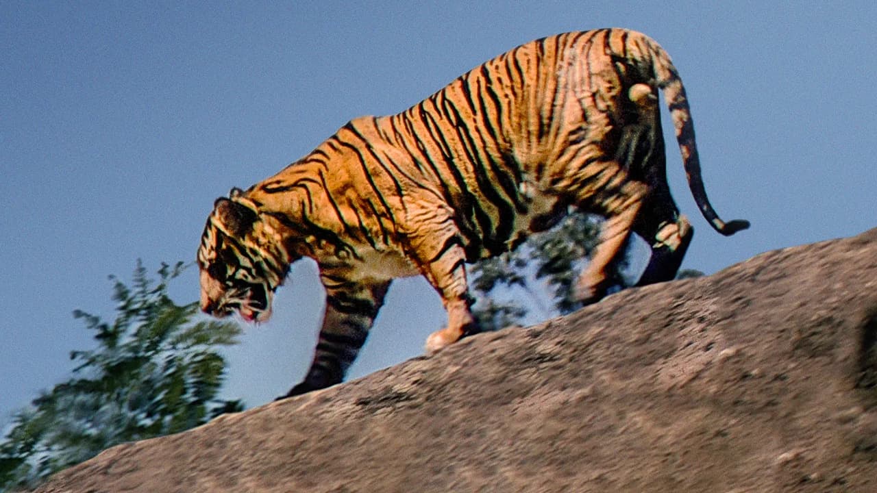 Le Jaguar, seigneur de l'Amazone