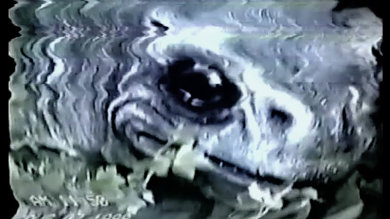 Frogman
