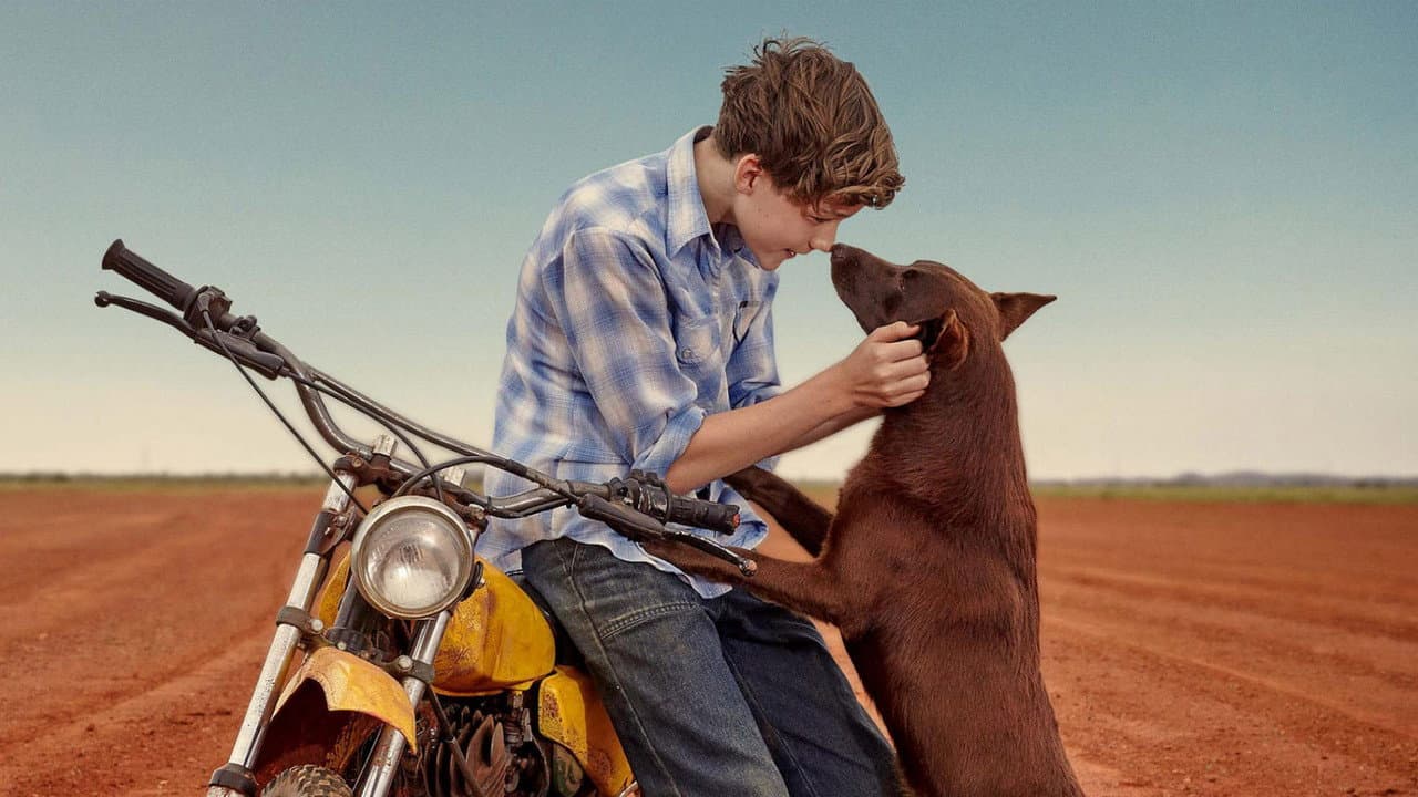 Blue, Mon Chien D'Australie
