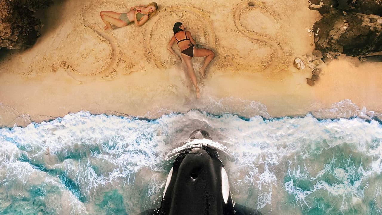 Killer Whale - Capture 2