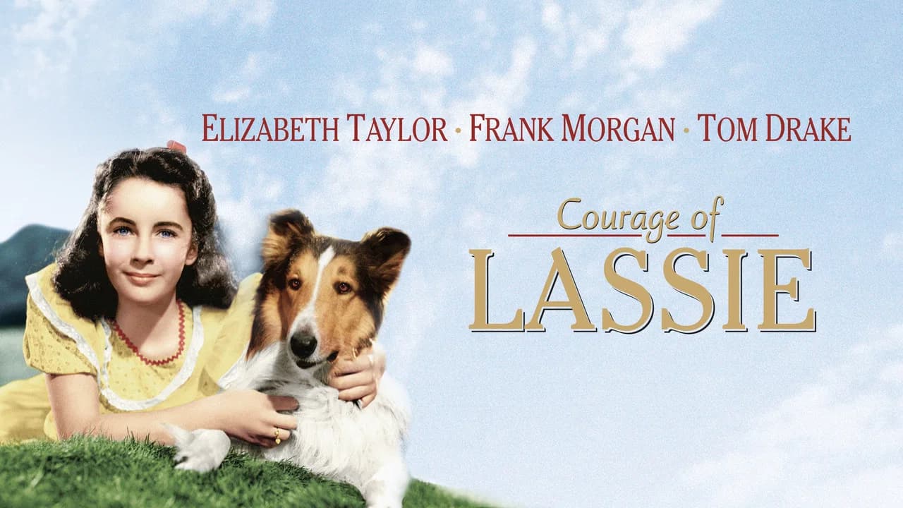 Le Courage de Lassie