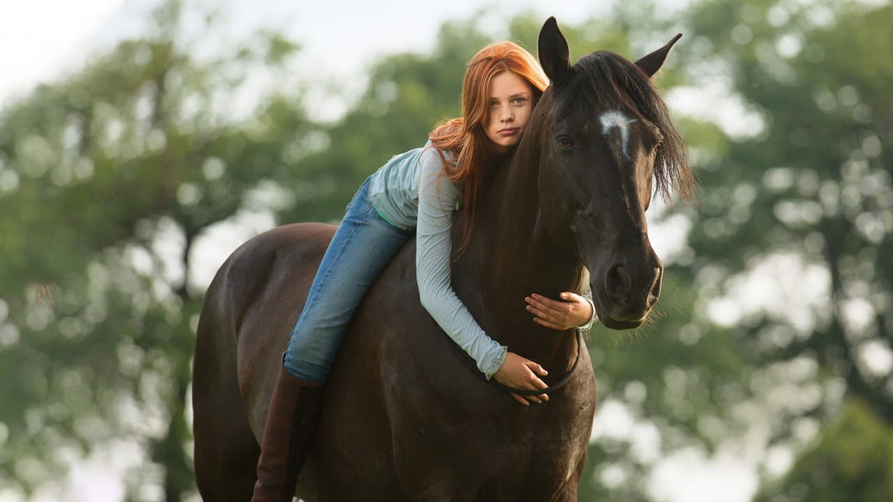 Whisper 1 : Libres comme le vent