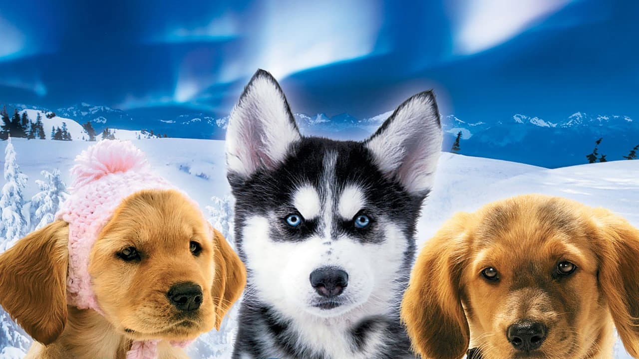 Les Copains des neiges