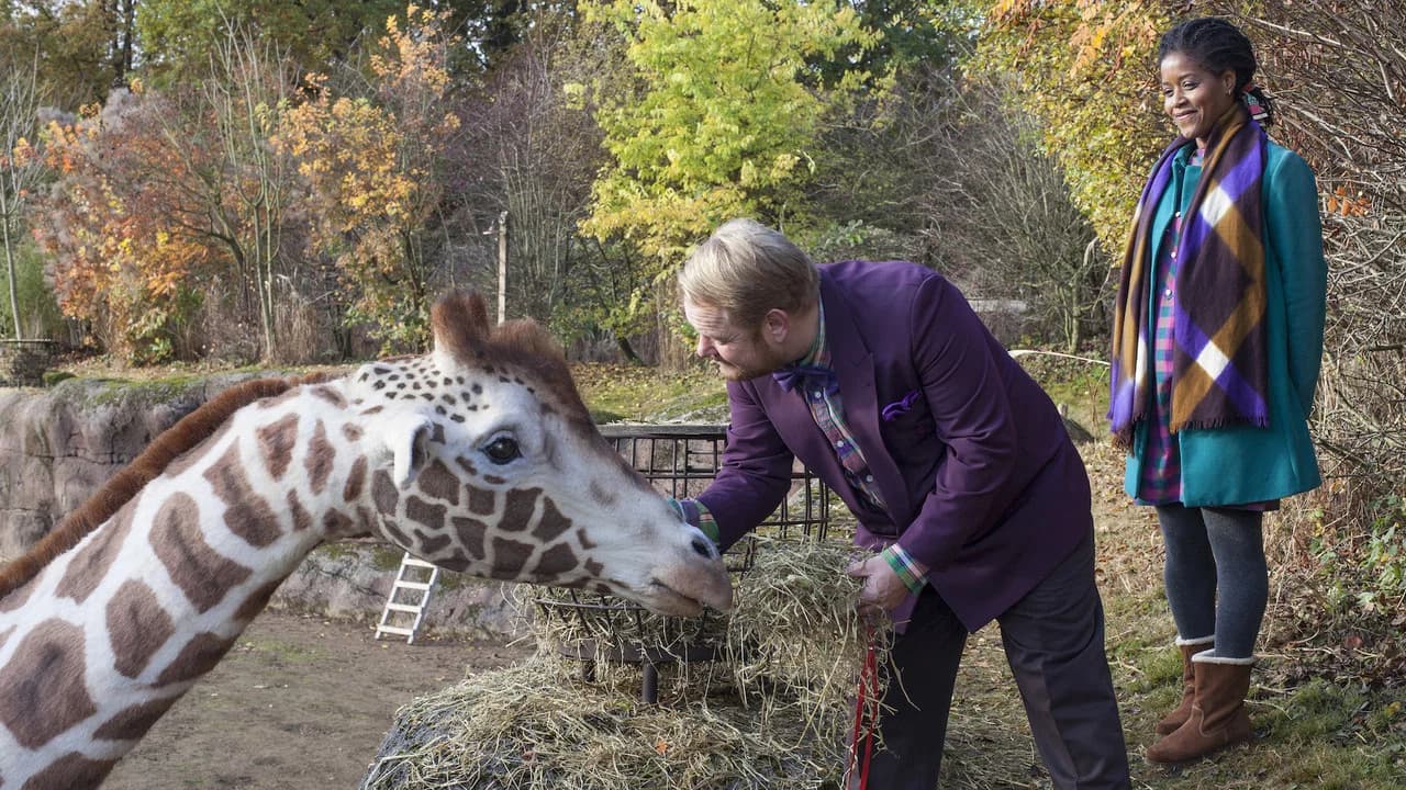 Raf, ma girafe