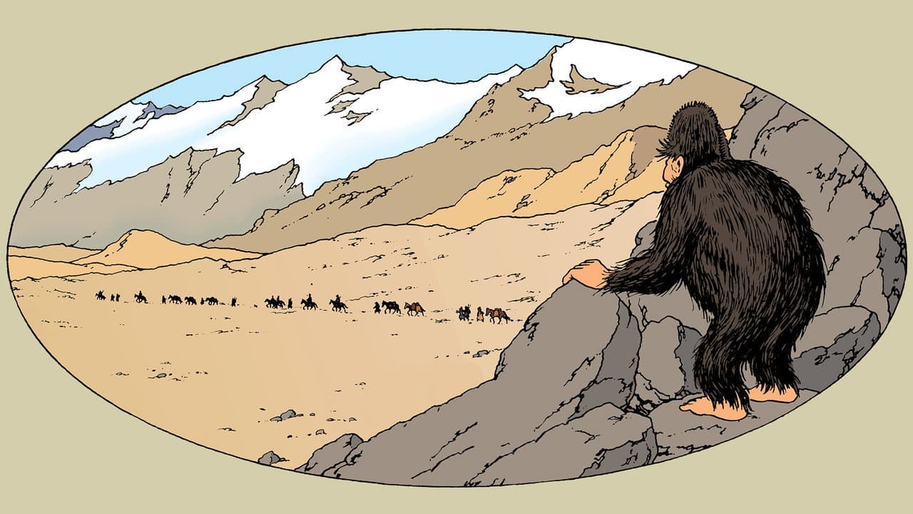 Les Aventures de Tintin