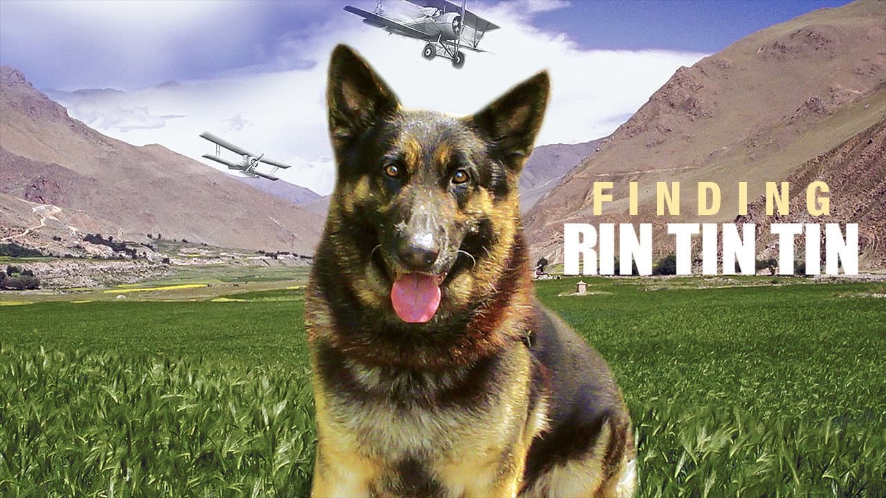 Rintintin