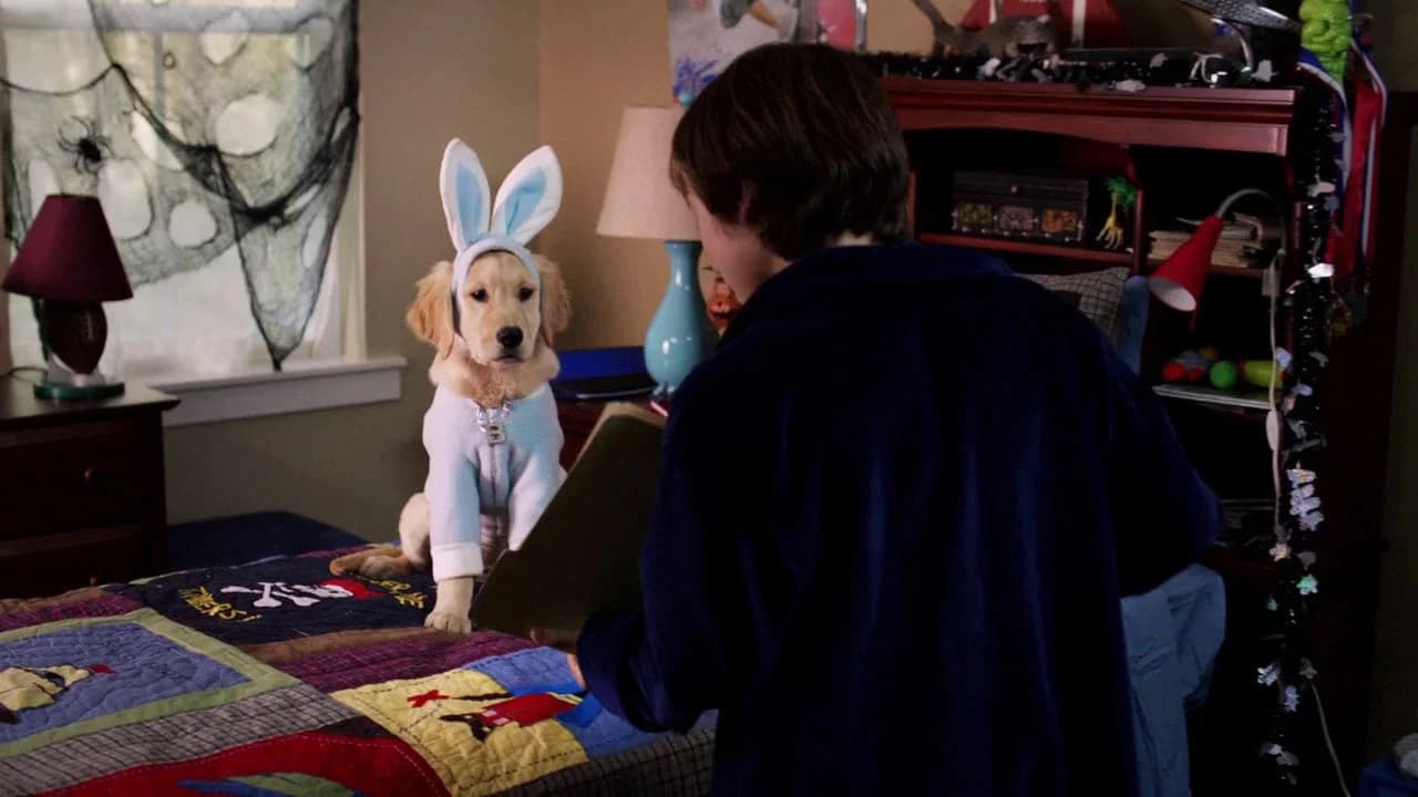 Les Copains et la légende du chien maudit