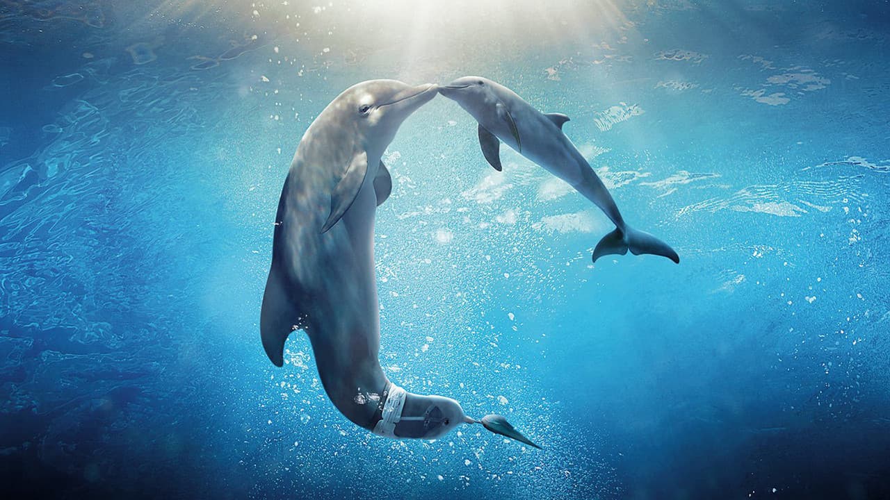 L'Incroyable Histoire de Winter le dauphin 2