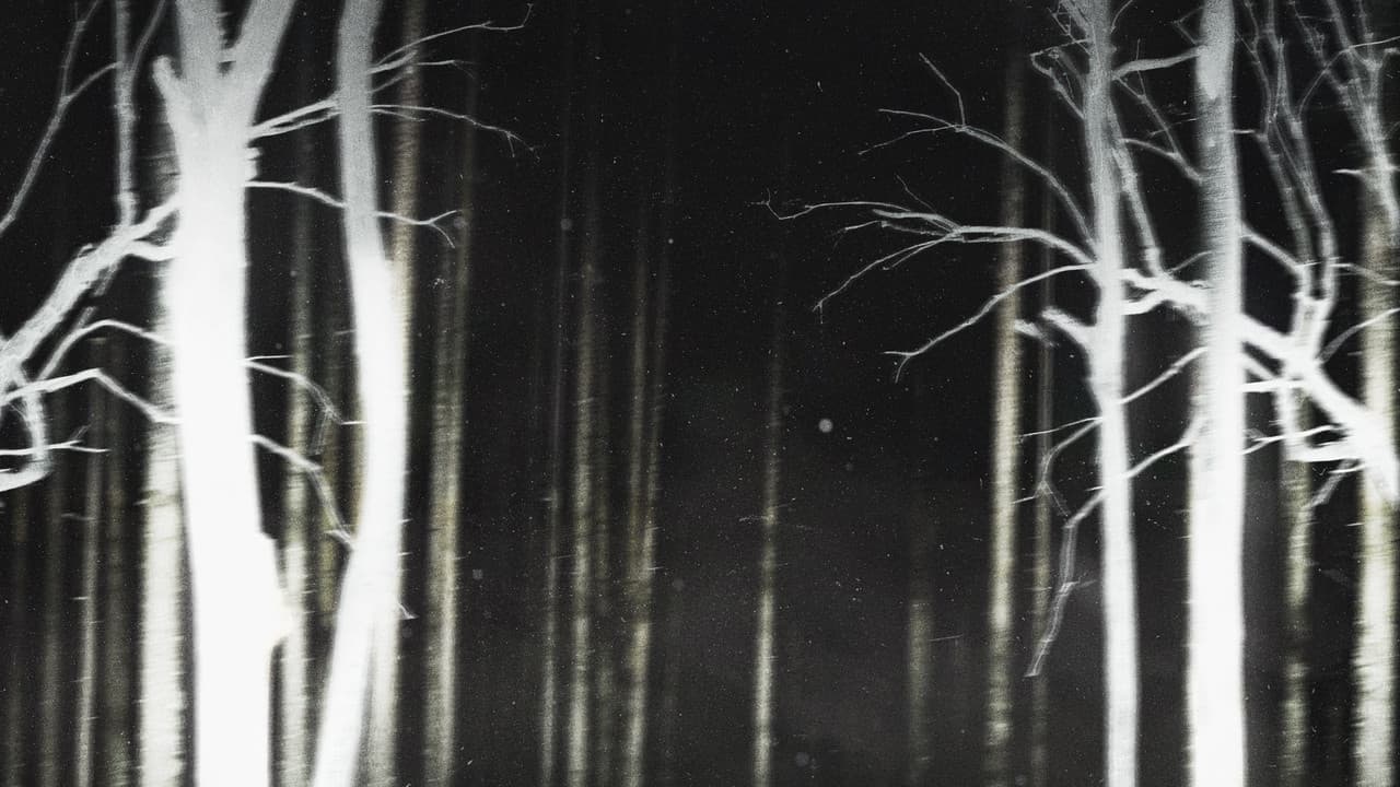 Shelby Oaks - Capture 3