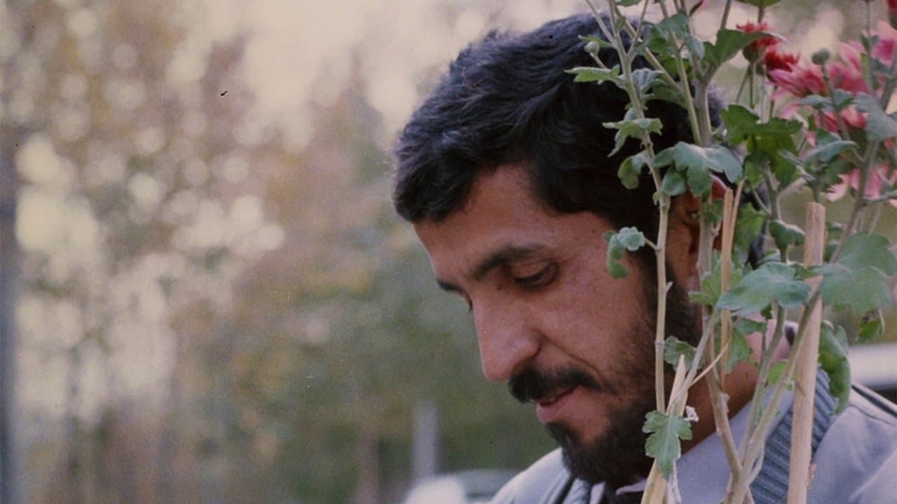 Close-up - Capture 2