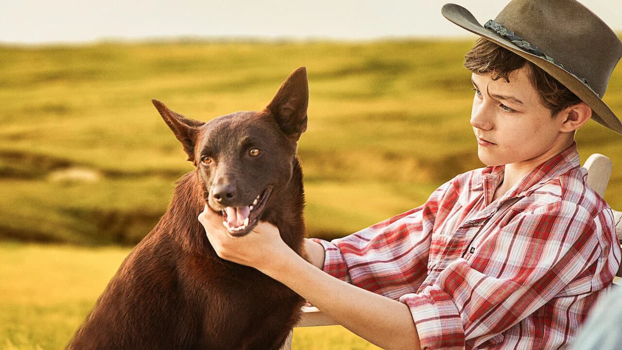 Blue, Mon Chien D'Australie